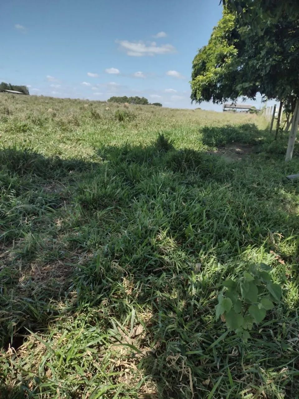 Sítio a venda direto com  proprietário  - Foto 2