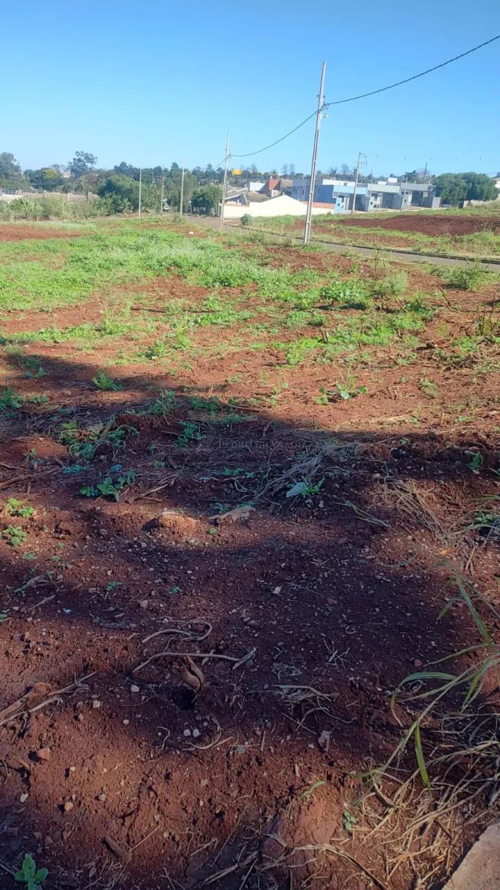 Terreno Padrão em Paiçandu - Foto 2
