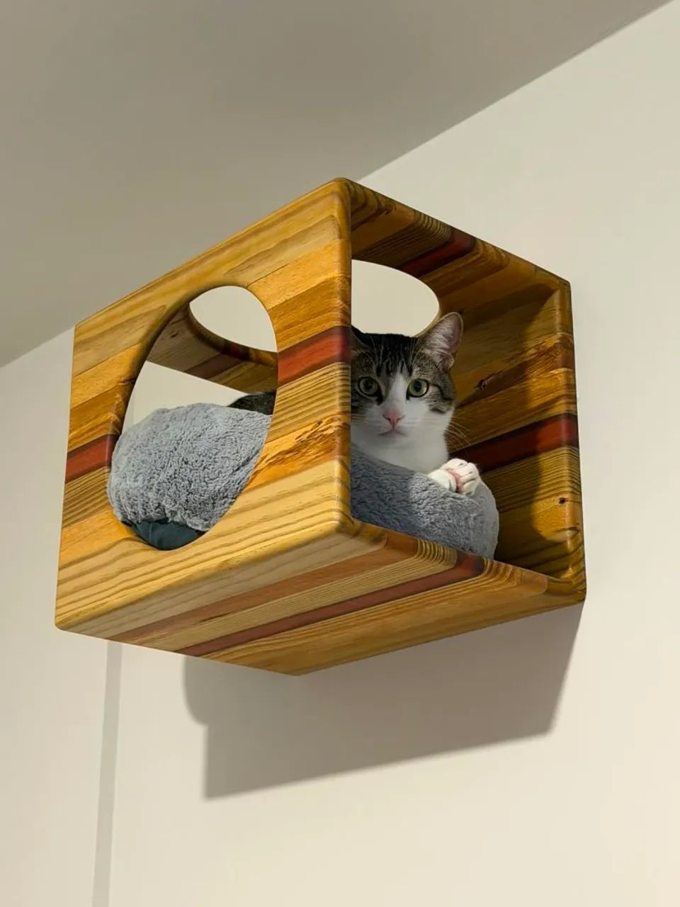 Prateleiras e caixas para gatos - Foto 2