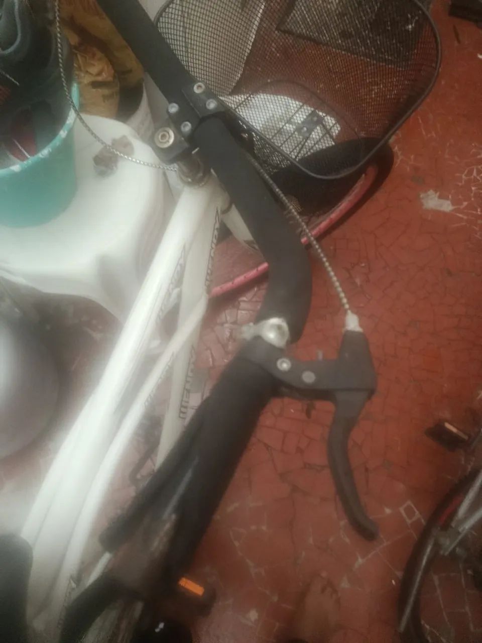 Bicicleta praiana 