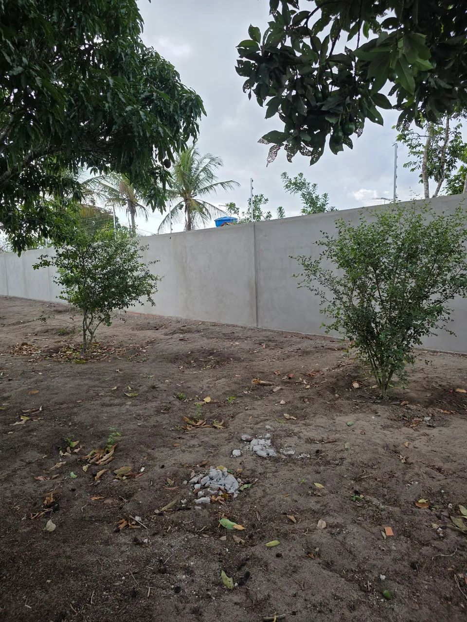 Chácara próximo a Campina - Foto 11