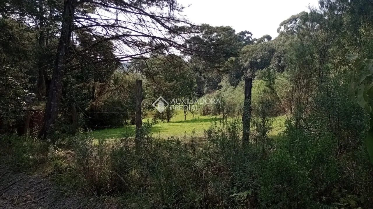 Chácara Monte Bérico - Foto 5
