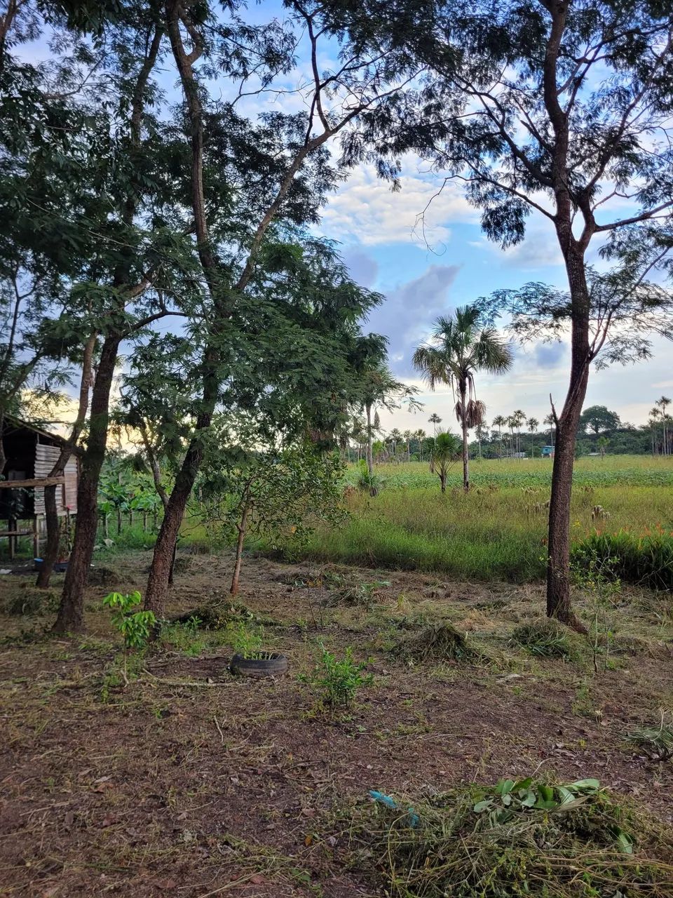 Terreno no Goiabal na beira do lago. - Foto 3