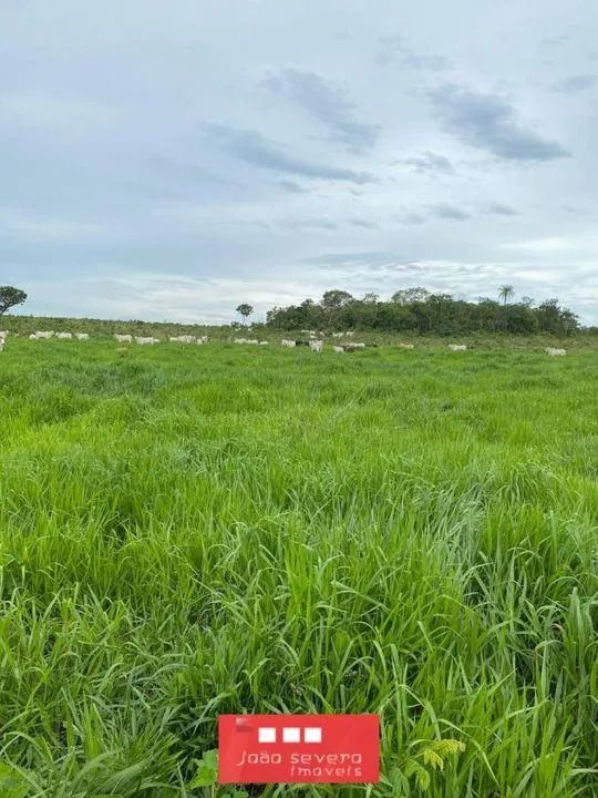 Fazenda para Venda em Palmas - Foto 4