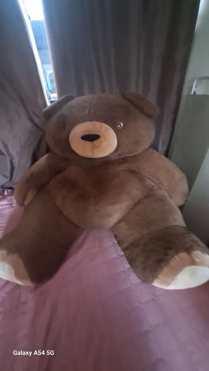 Urso grande - Foto 2