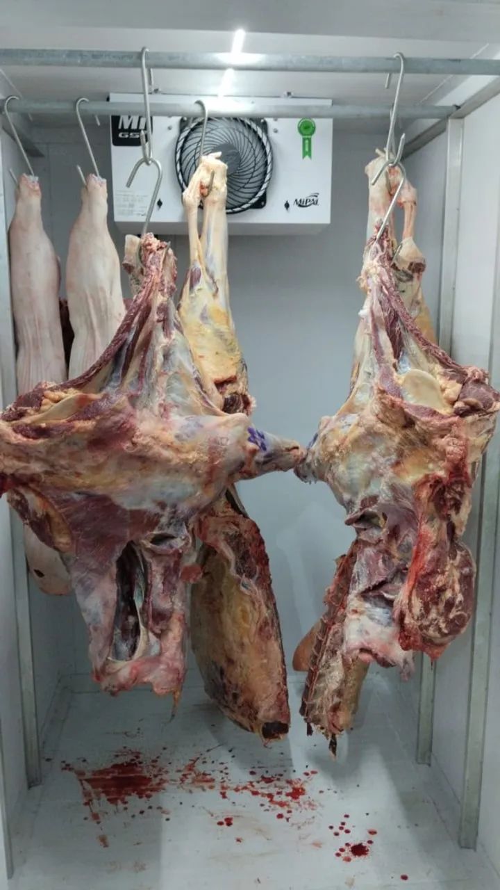 Câmara Frigorífica Industrial  - Foto 4