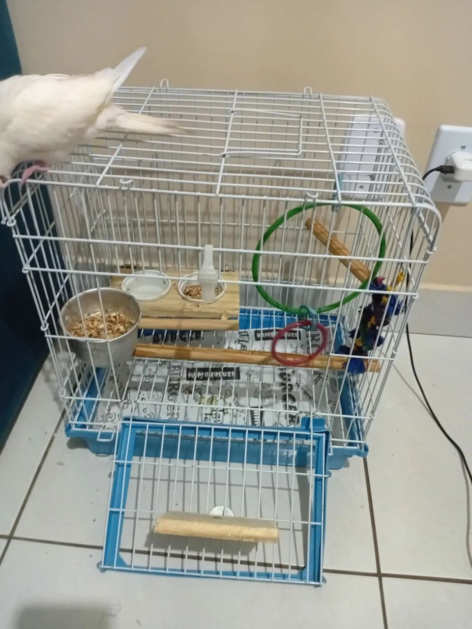 Gaiola 
