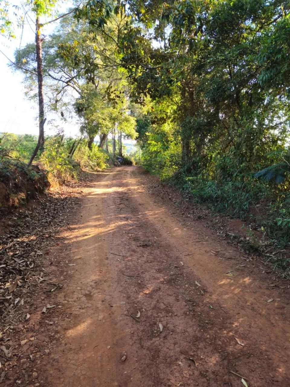 Chácaras a 4 km do centro de Conselheiro Lafaiete - Foto 5