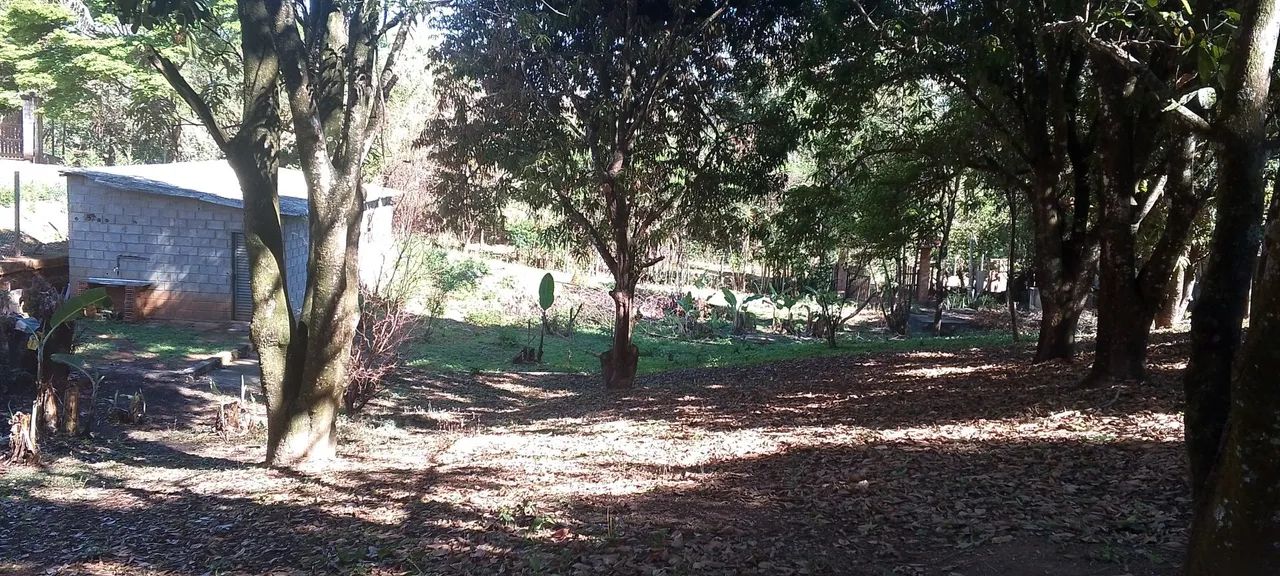 Sítio à Venda - Natureza, Frutas e Tranquilidade - Foto 4