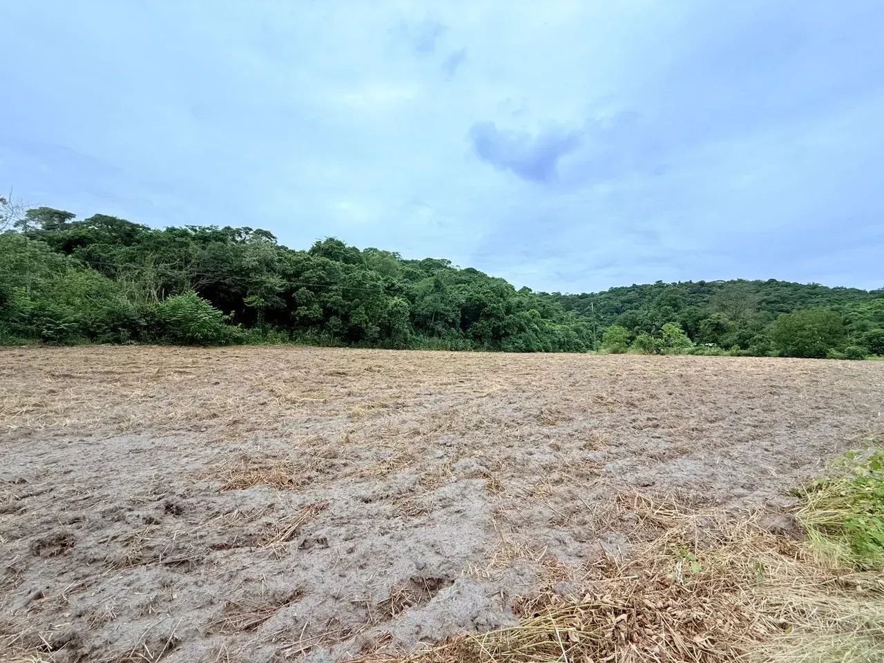 FAZENDINHA 300.000m² Guapimirim - Foto 2