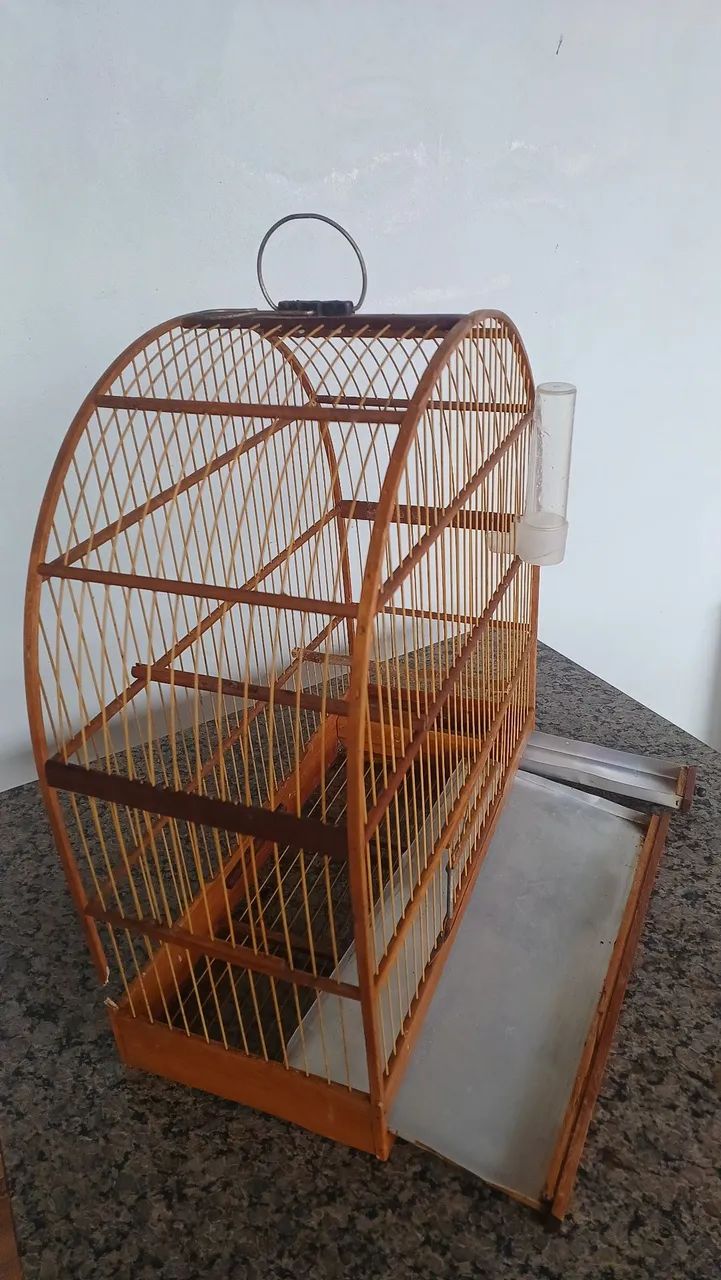 Gaiola - Foto 4