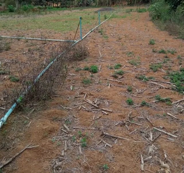 Sitio Grande área plana em Rio possmoser - Foto 5