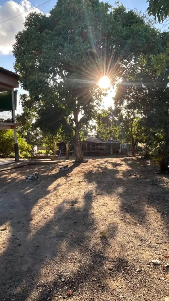CHÁCARA À VENDA COM 20 TAREFAS EM ITABAIANA/SE - Foto 5