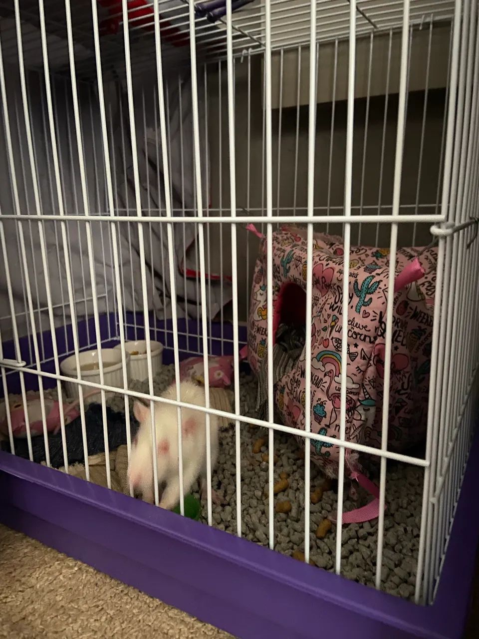 Gaiola 65181956748290121