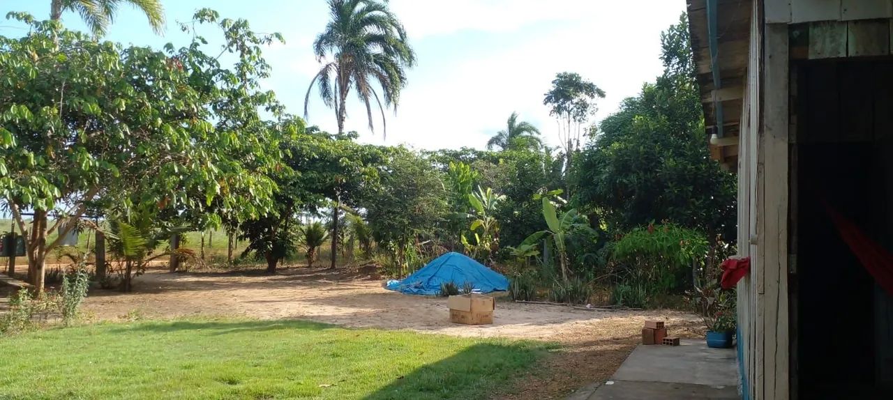 Vende-se sítio 100x250 (Aceitamos propostas) - Foto 3