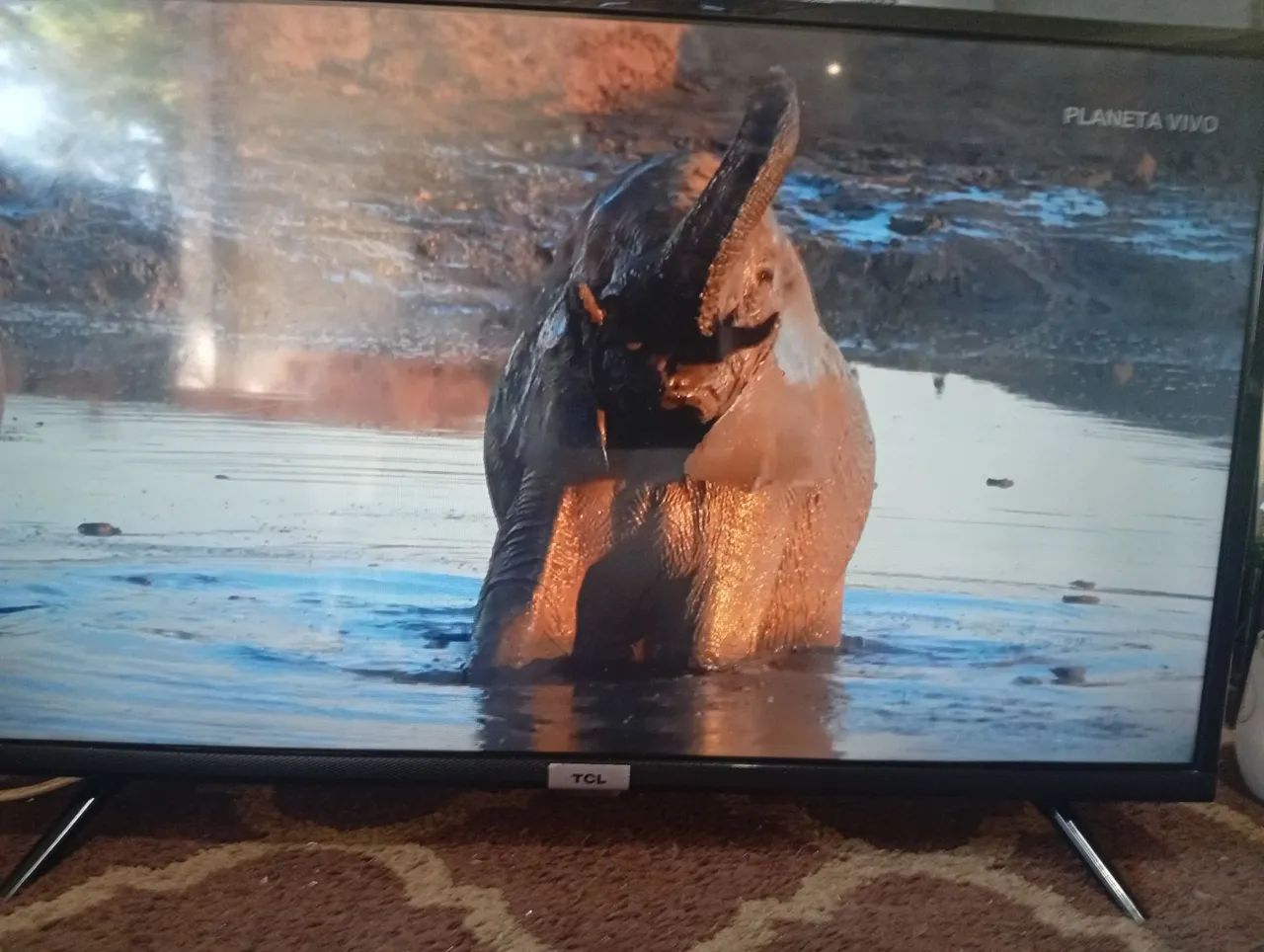 Oportunidade  - Foto 5