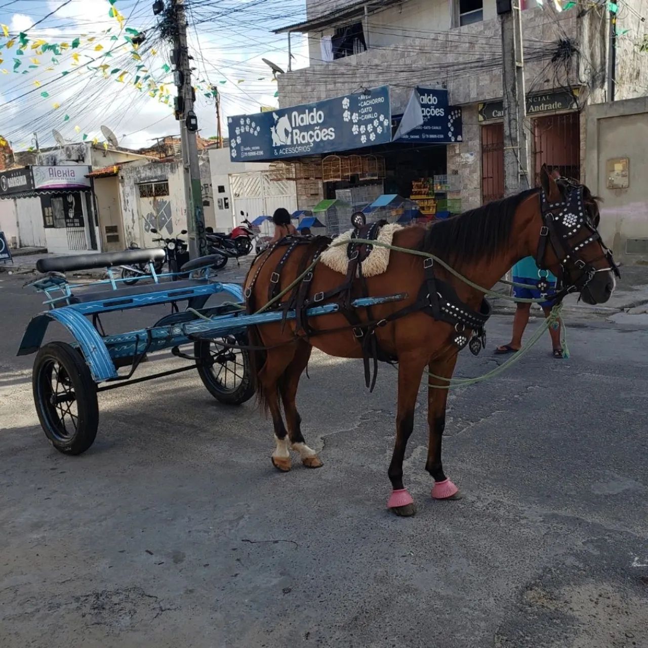 Charrete nova - Foto 3