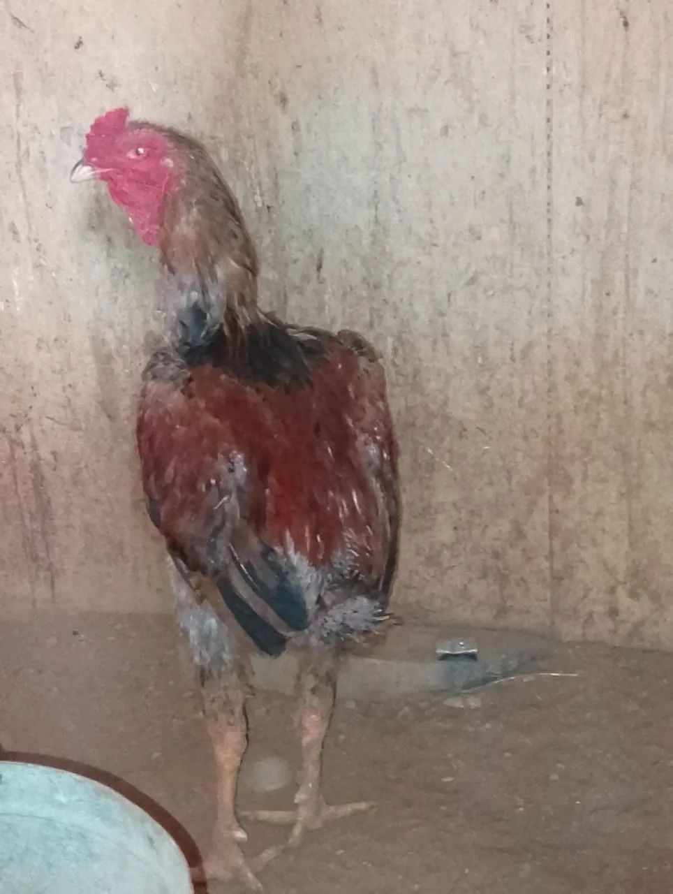 Eu estou vendendo  - Foto 3