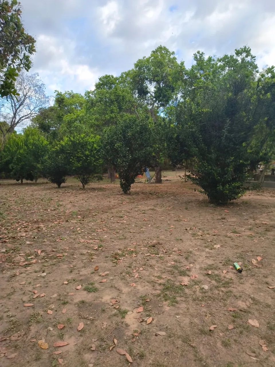 venda - Foto 5