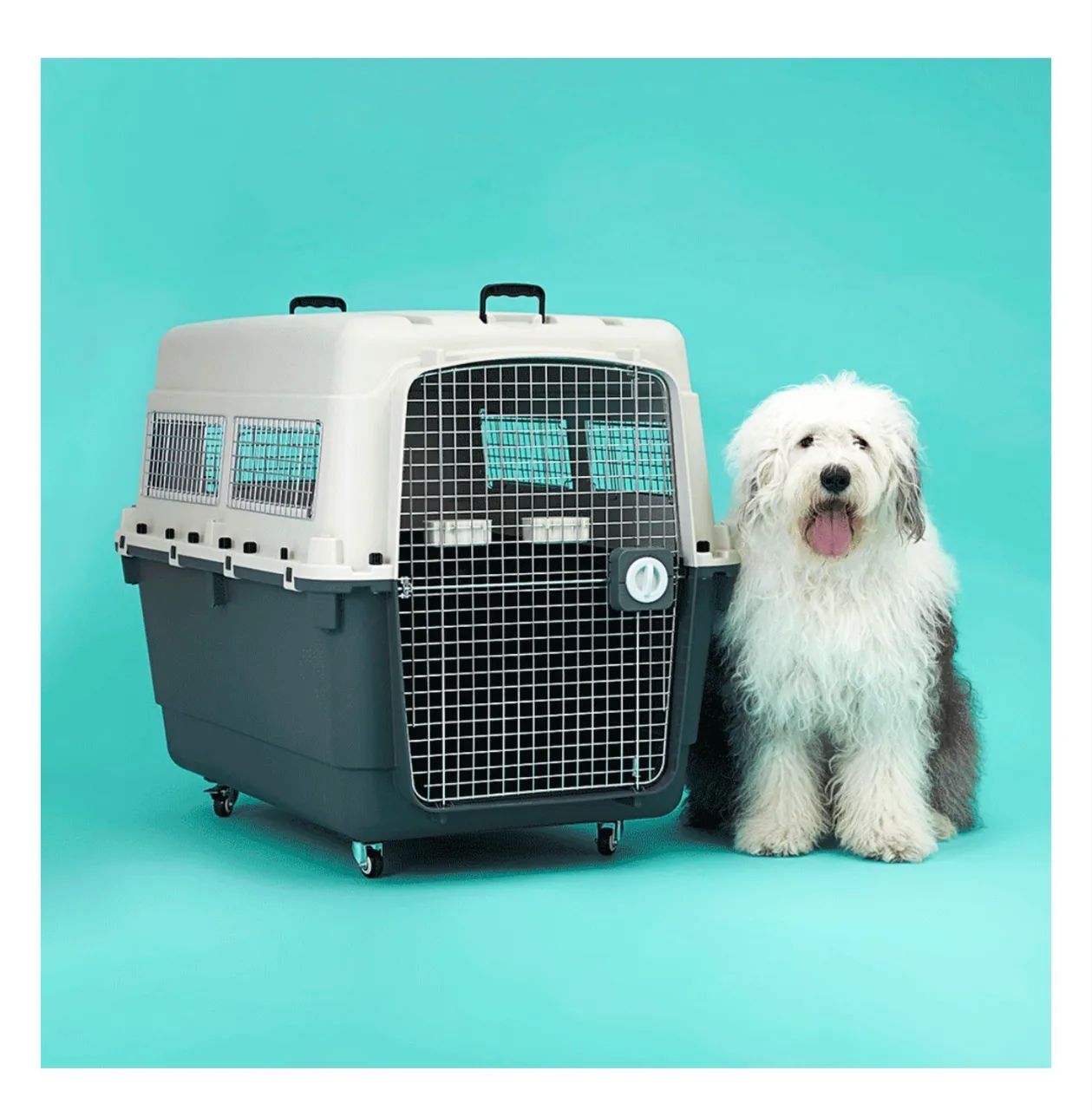 Caixa de transporte para cães - Foto 2
