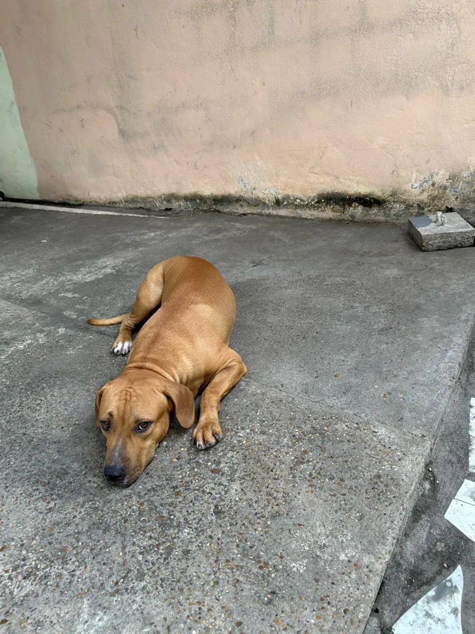 Doação  - Foto 2