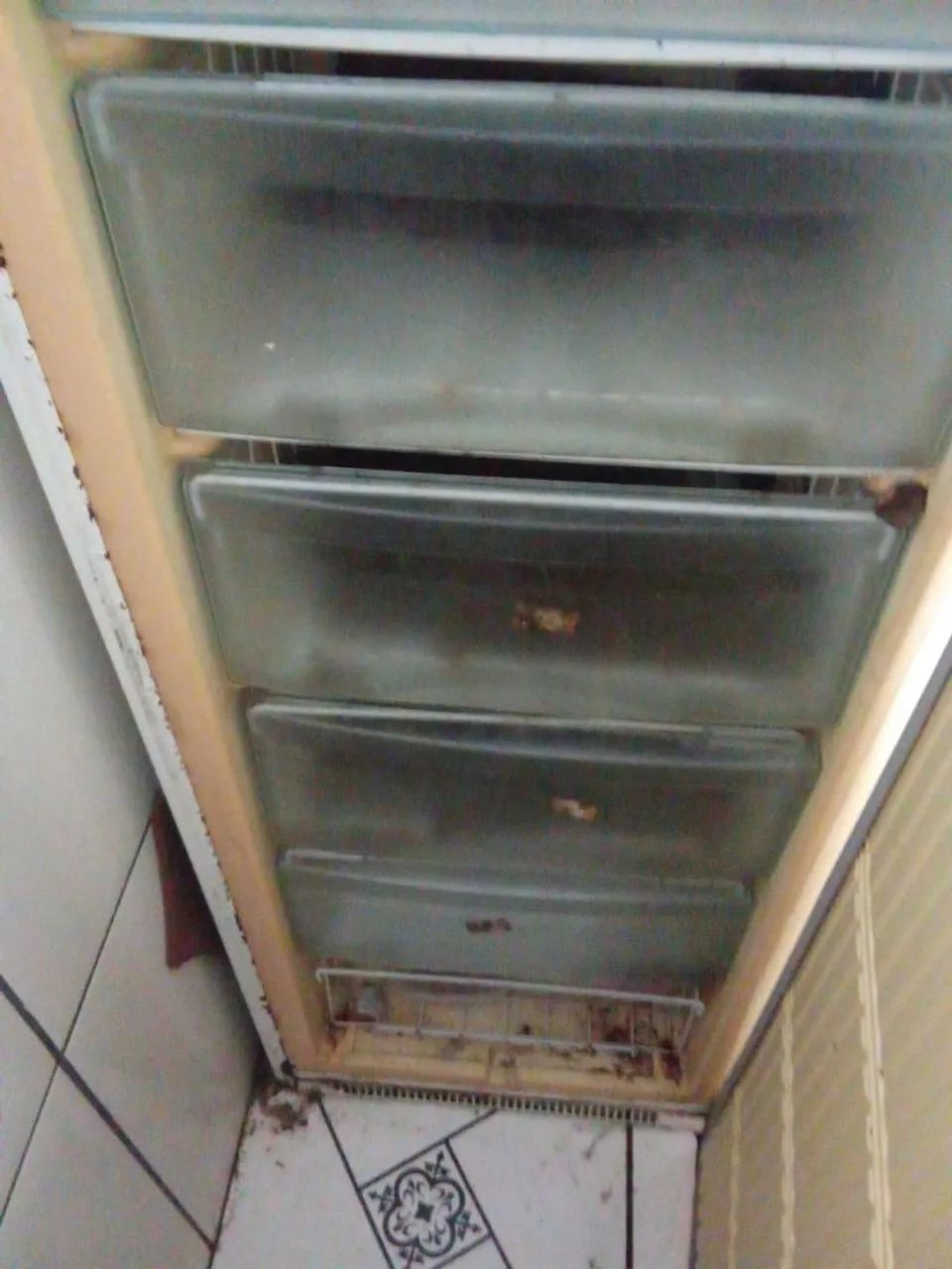 Freezer 