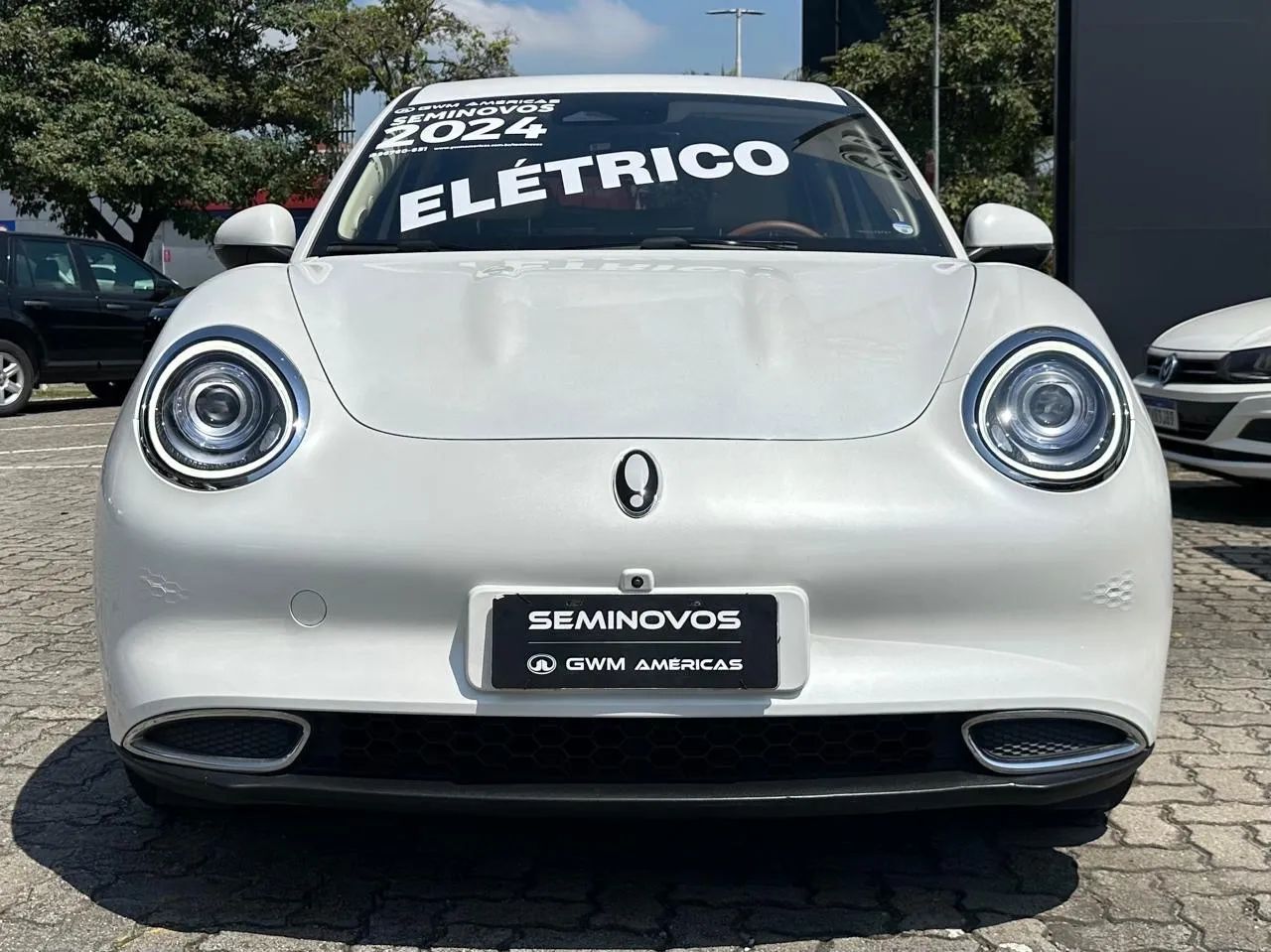 GWM Ora 03 SKIN (ELÉTRICO) 2024