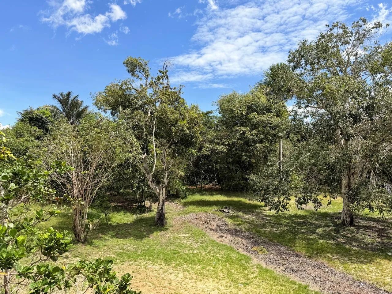 Sítio à Venda - Tarumã Mirim  - Foto 5