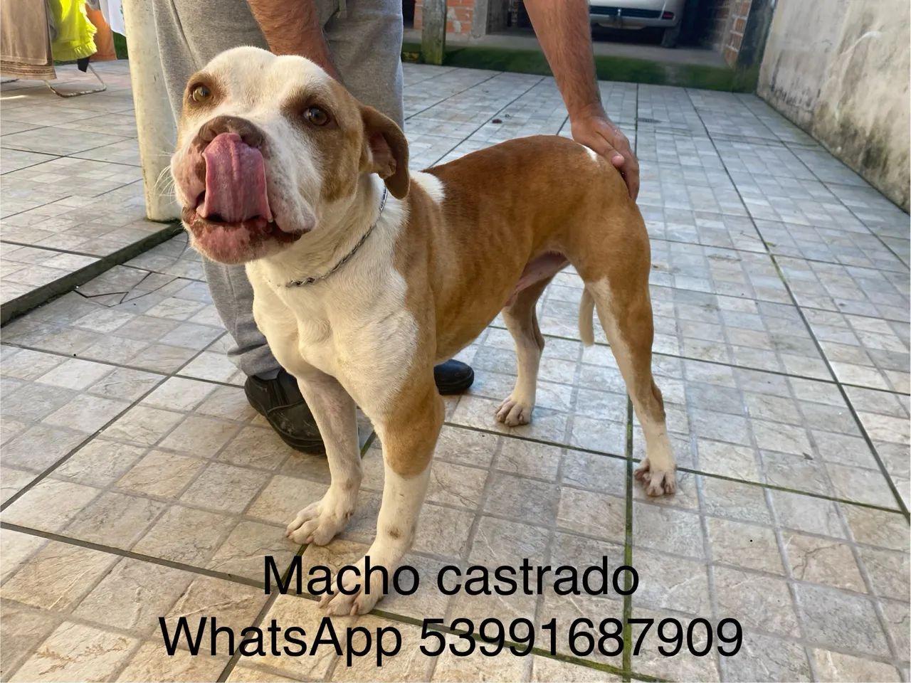 Doação