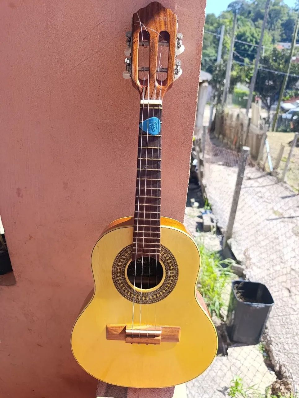 cavaco Giannini estudo