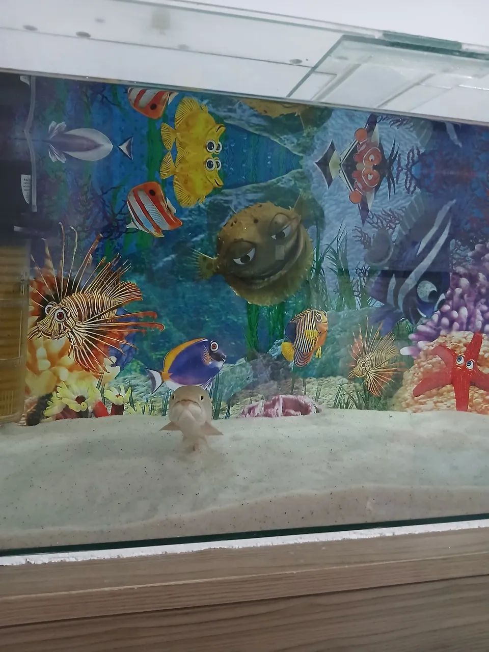 Aquário  200 litros - Foto 3