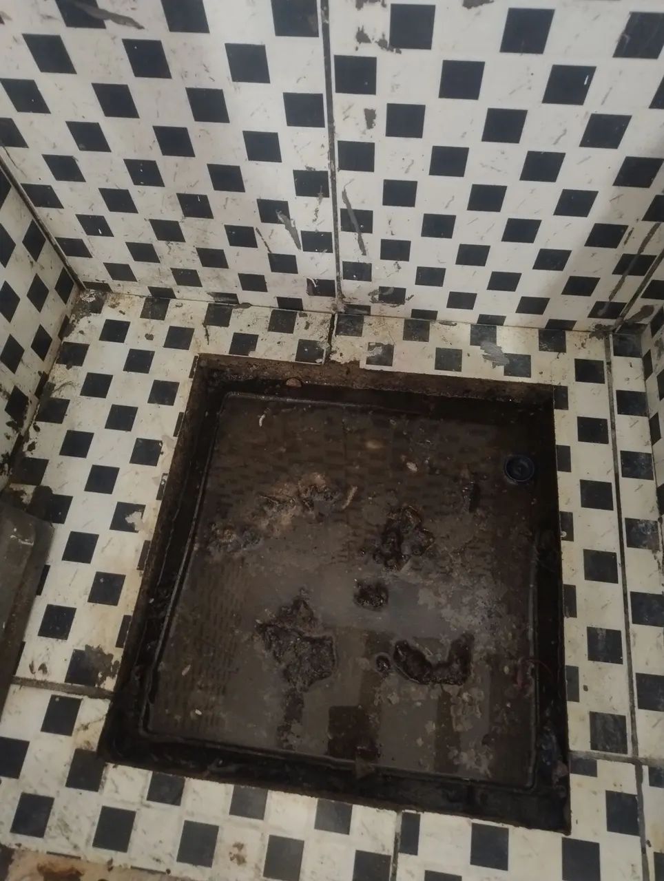 Limpeza Pesada Ronildinha  - Foto 2