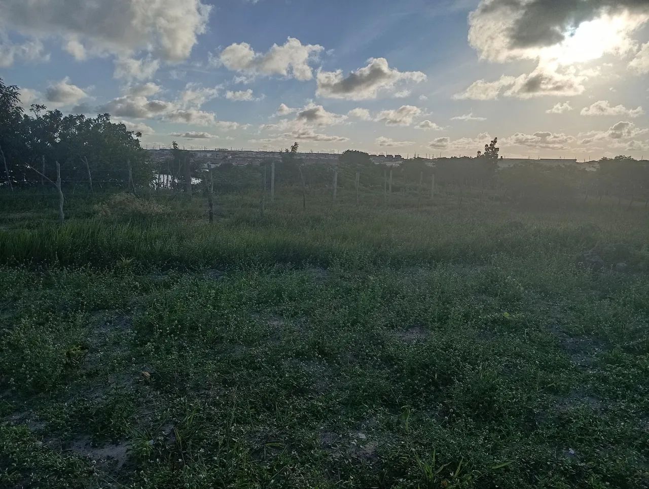 Terreno em extremoz  - Foto 5