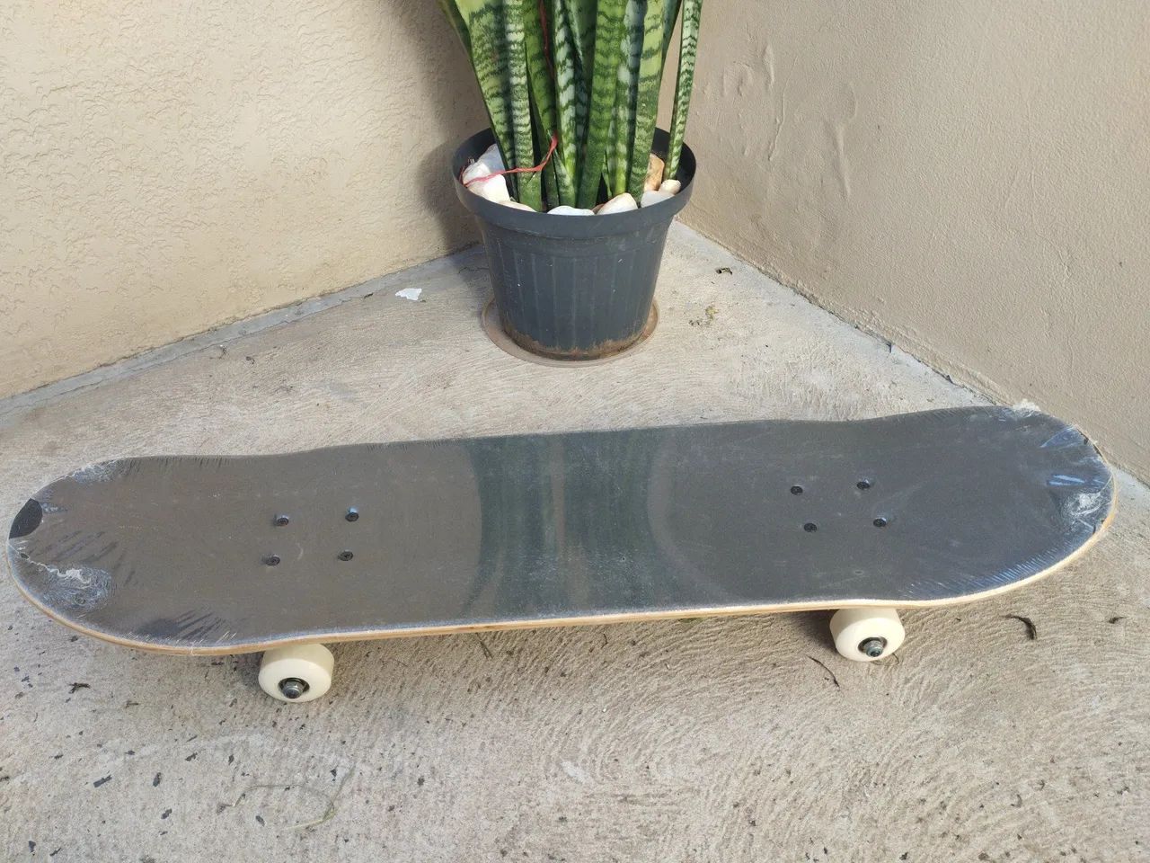 Skate Bob Burnquist 