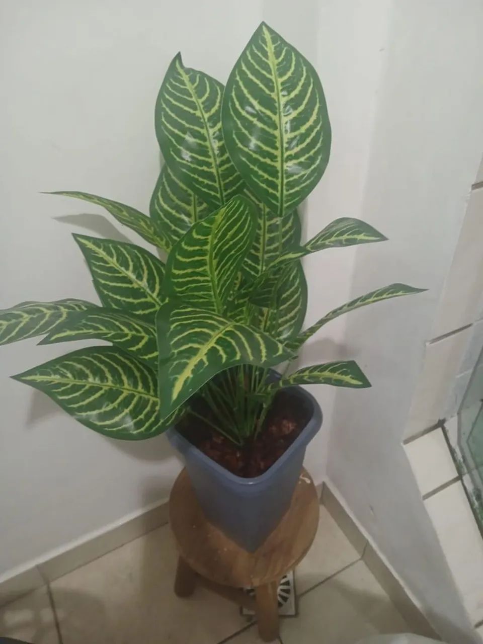 Lindo vaso 