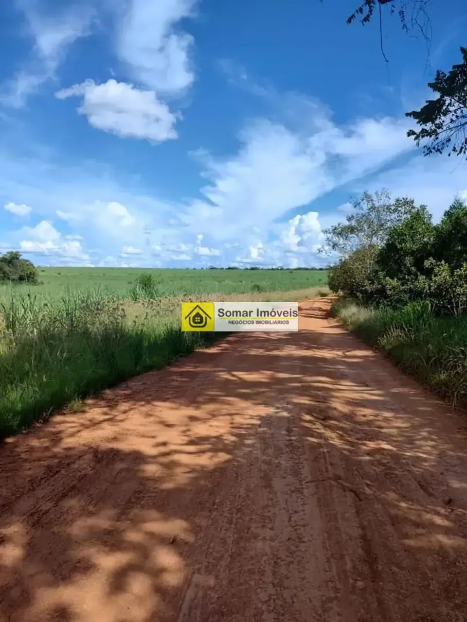 FAZENDA COM 400 HA NA CIDADE DE POMPEU A VENDA - Foto 5