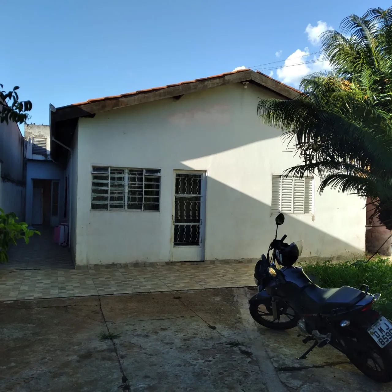 Foto - Araras - Jardim José Ometto II