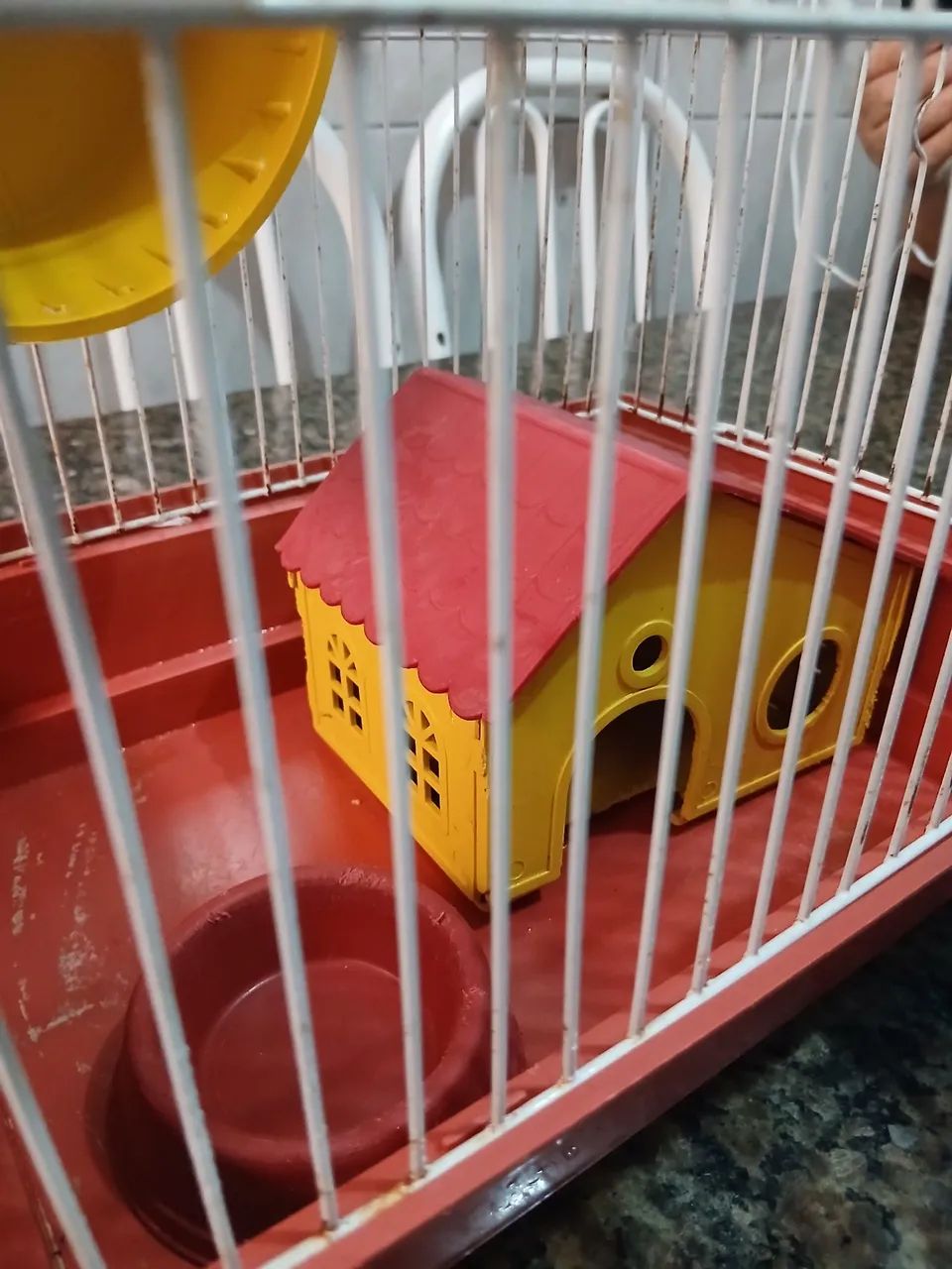 Gaiola De Hammister - Foto 4