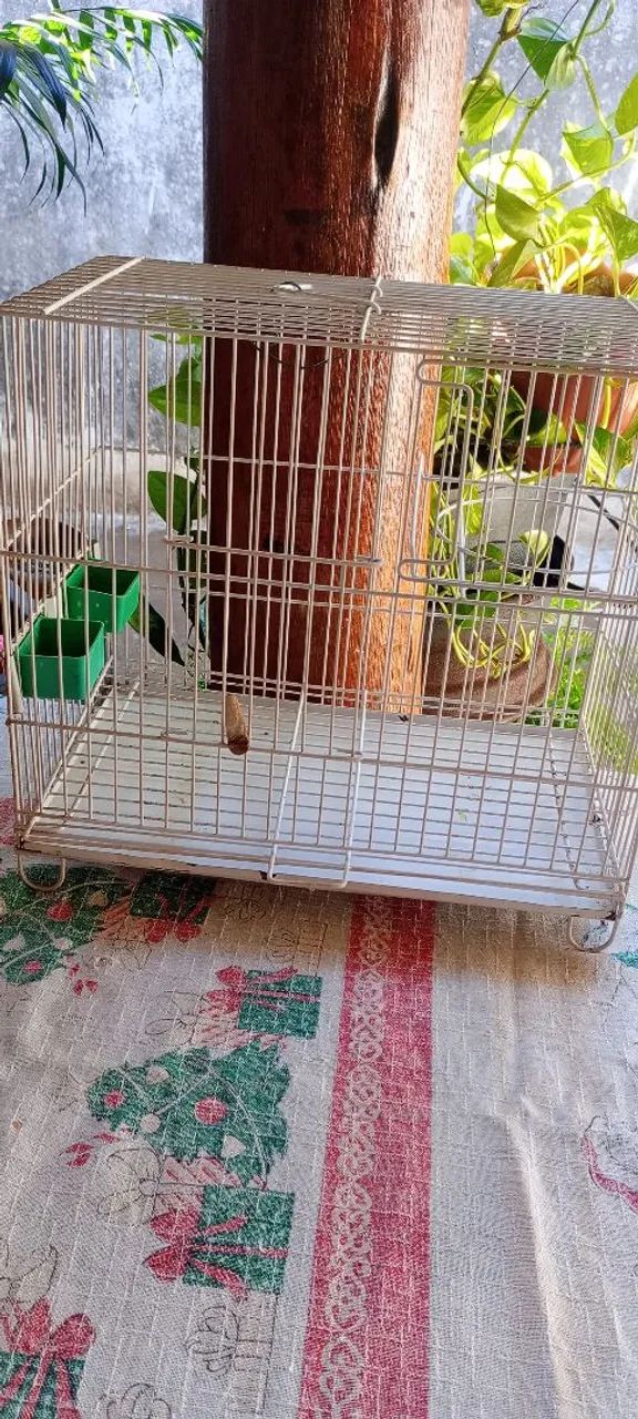 Vendo 1 gaiola pra passarinho! - Foto 2