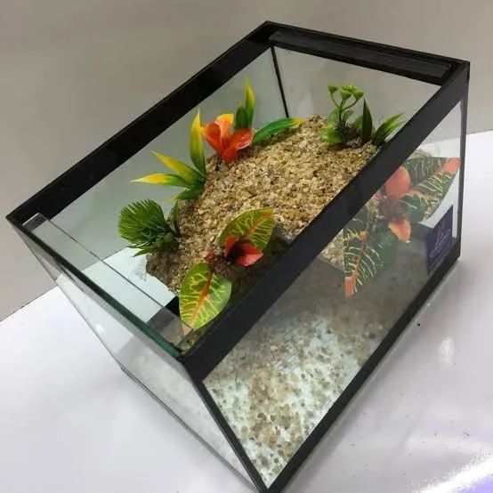 Aquário - Foto 2