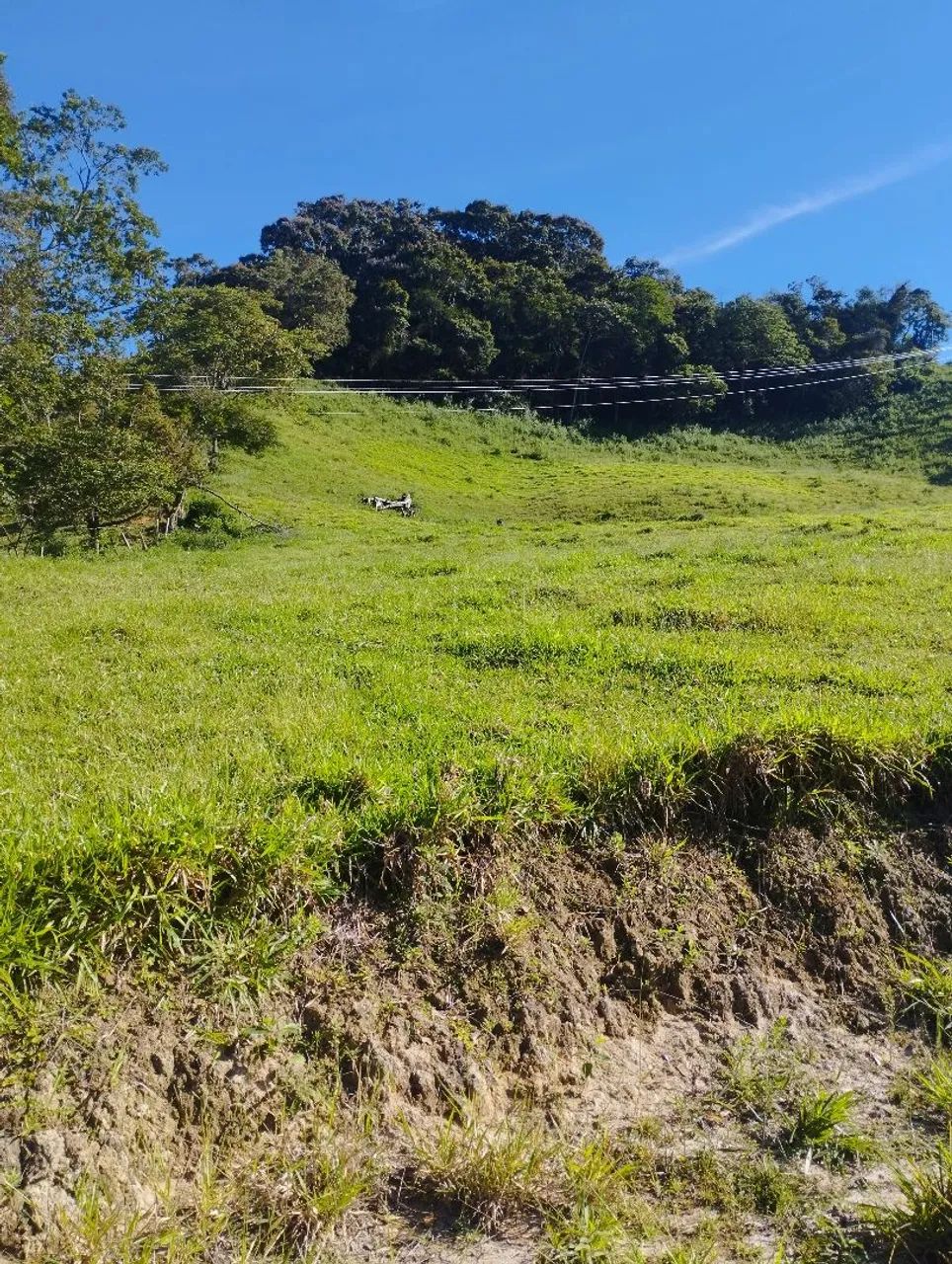 Vendo terreno em Itamonte Mg  - Foto 4