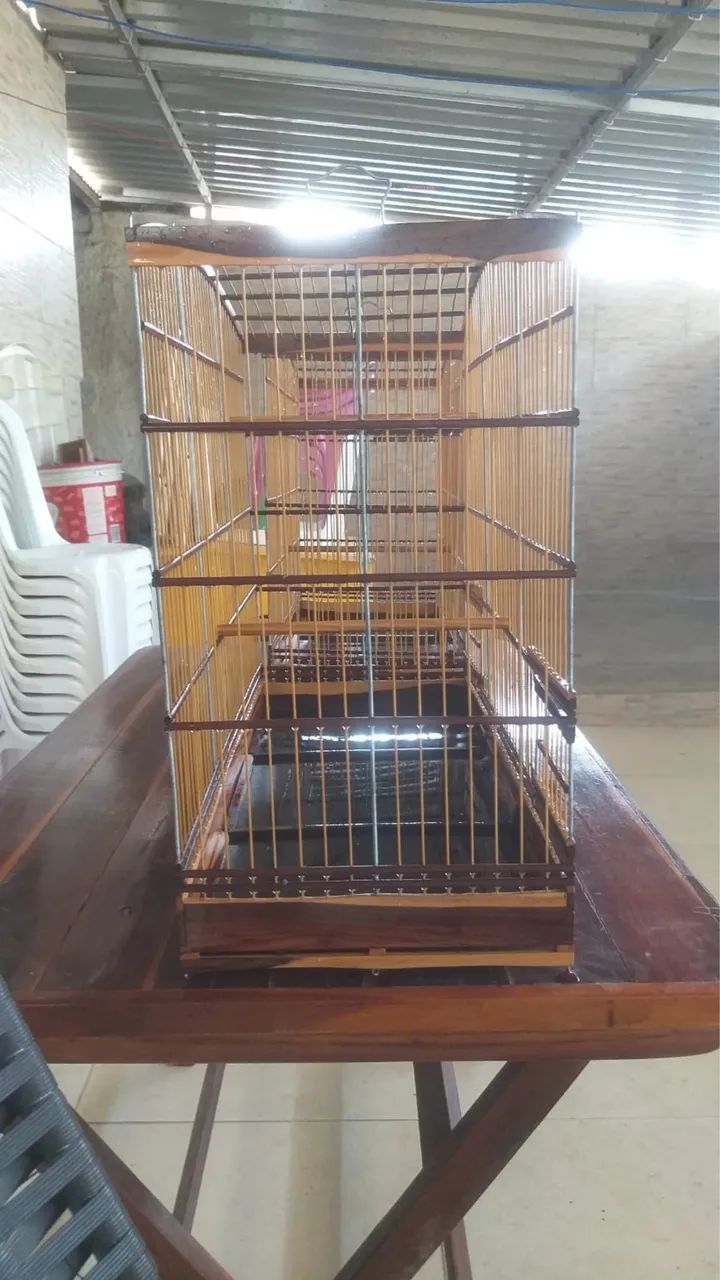 Gaiola  - Foto 4
