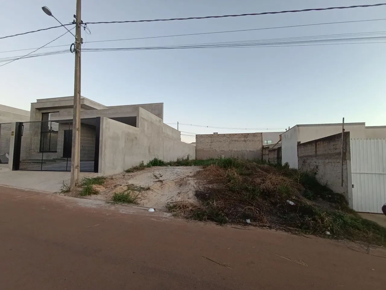 Foto - Ponta Grossa - Cará-cará