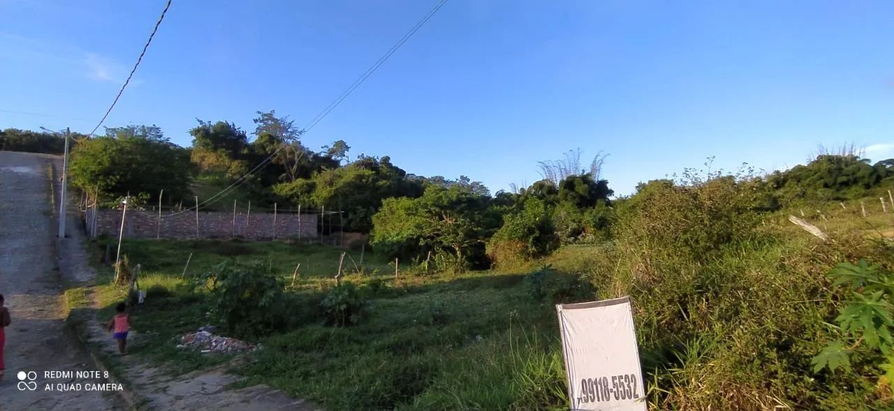 VENDO LOTE EM AMARGOSA  - Foto 3