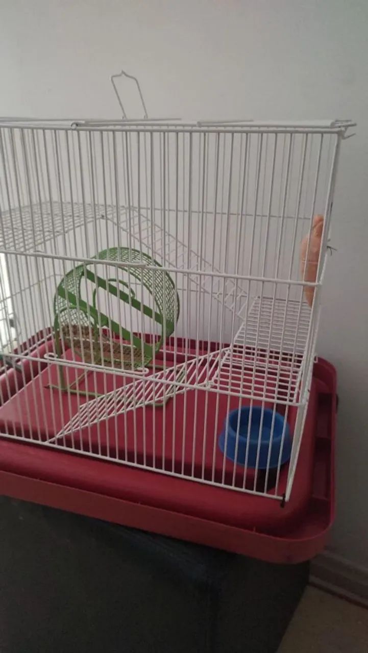 Gaiola hamster - Foto 5