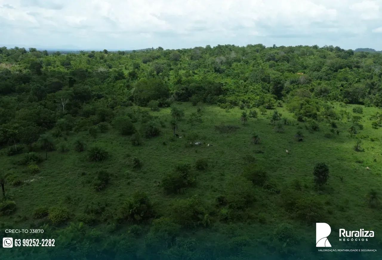55 HECTARES COM CÓRREGO PERENE | DOCUMENTADA | OPORTUNIDADE - Foto 2