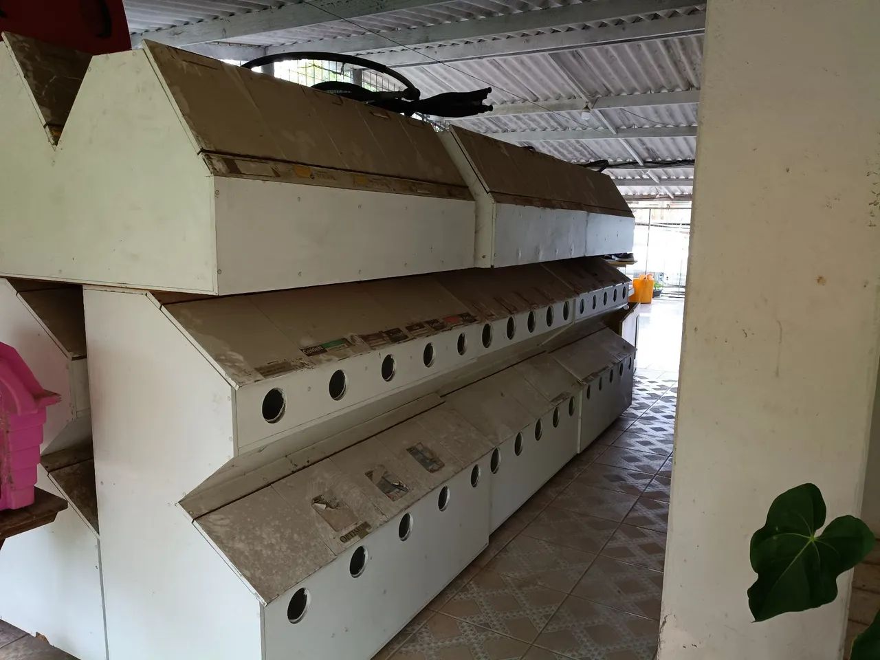 Cocho para ração / dispenser em madeira  - Foto 4