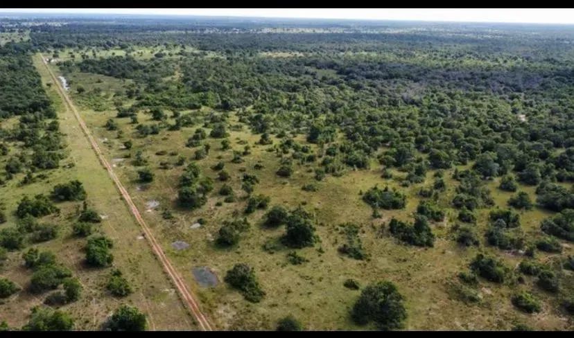 Fazenda Poconé - Foto 5