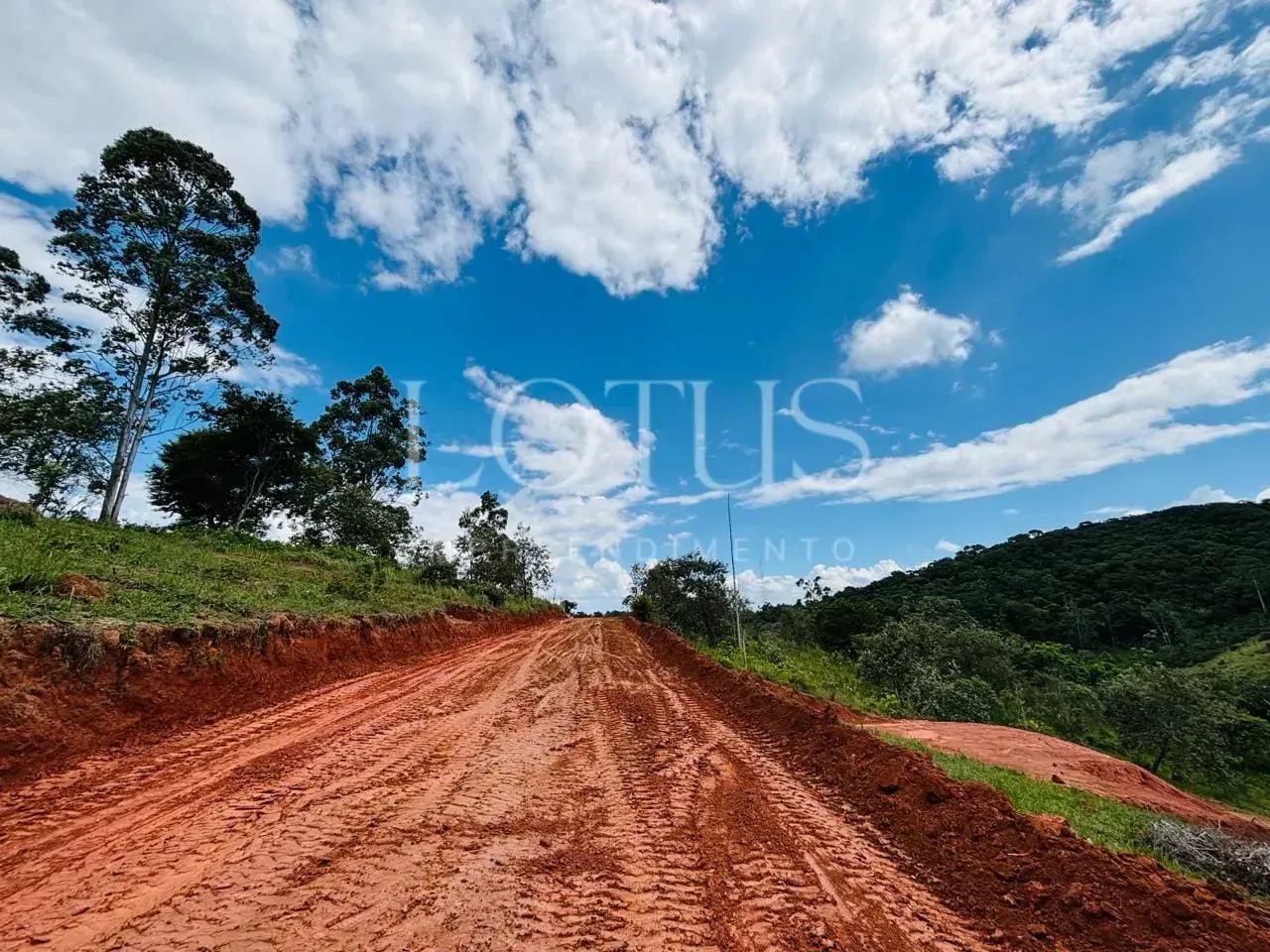 UM LUGAR PARA CONSTRUIR, DESCANSAR E APROVEITAR - Foto 5
