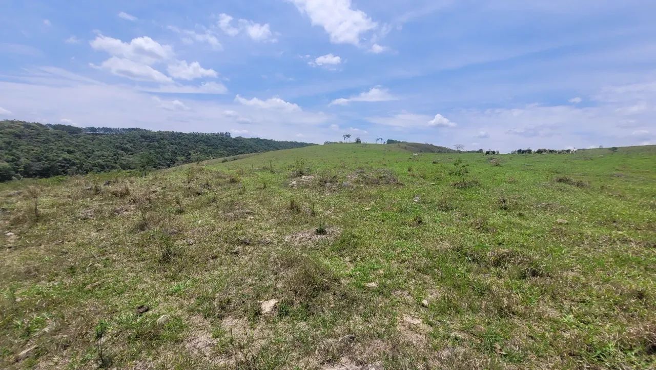 Fazenda de 277 hectares - Foto 3